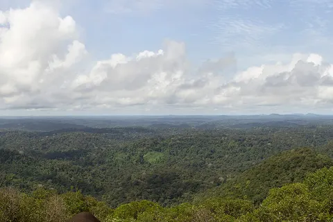 La forêt guyanaise vue depuis l’inselberg des Nouragues