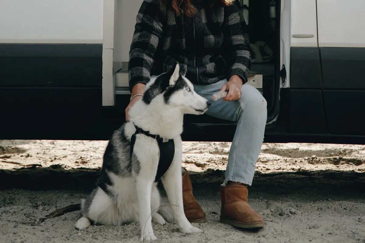 Un husky en harnais est assis sur le sable, à côté d’une personne assise sur le marchepied de la porte ouverte d’un van blanc